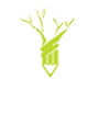 Doğa Koleji