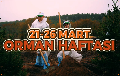 ORMAN HAFTASI KUTLU OLSUN