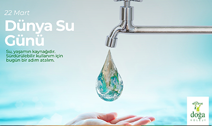 DÜNYa su günü
